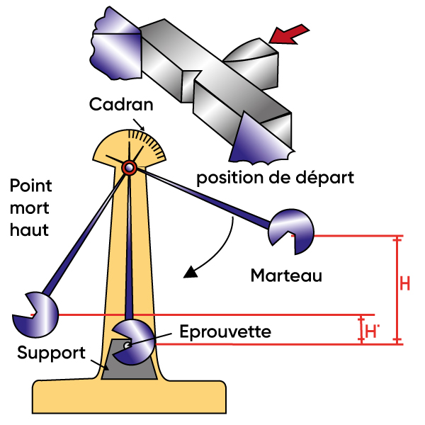 croqui Mouton de Charpy